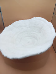 Vintage White Bowl Coral 13