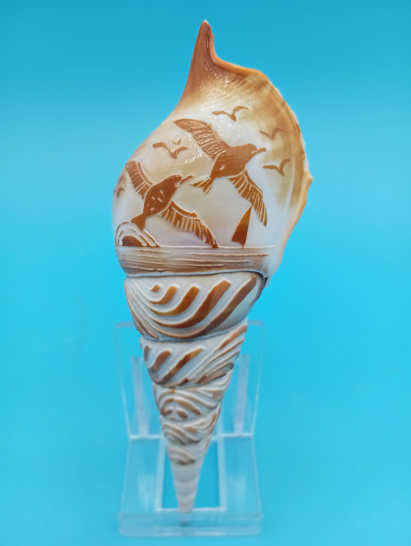 4.7" carved Tibia shell with seagull coastal scene