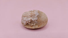  Fossilized Cretaceous clam with quartz crystals in natural brown stone on pink background