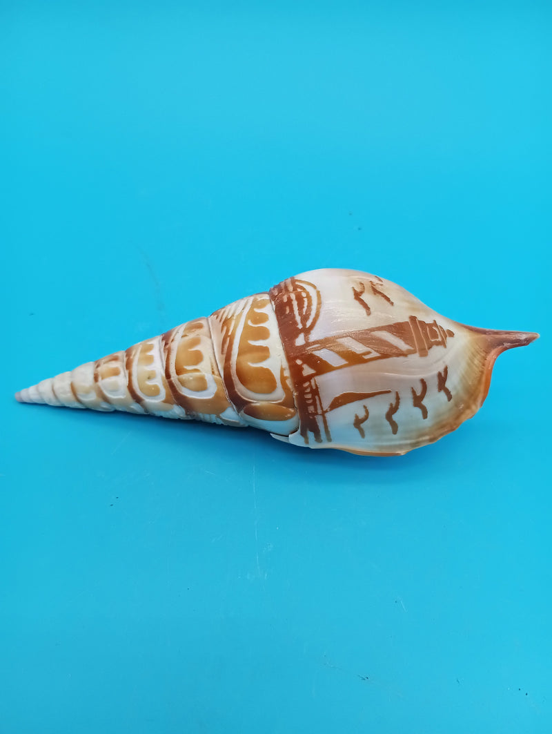 4.8" carved Tibia shell with lighthouse scene and seabirds