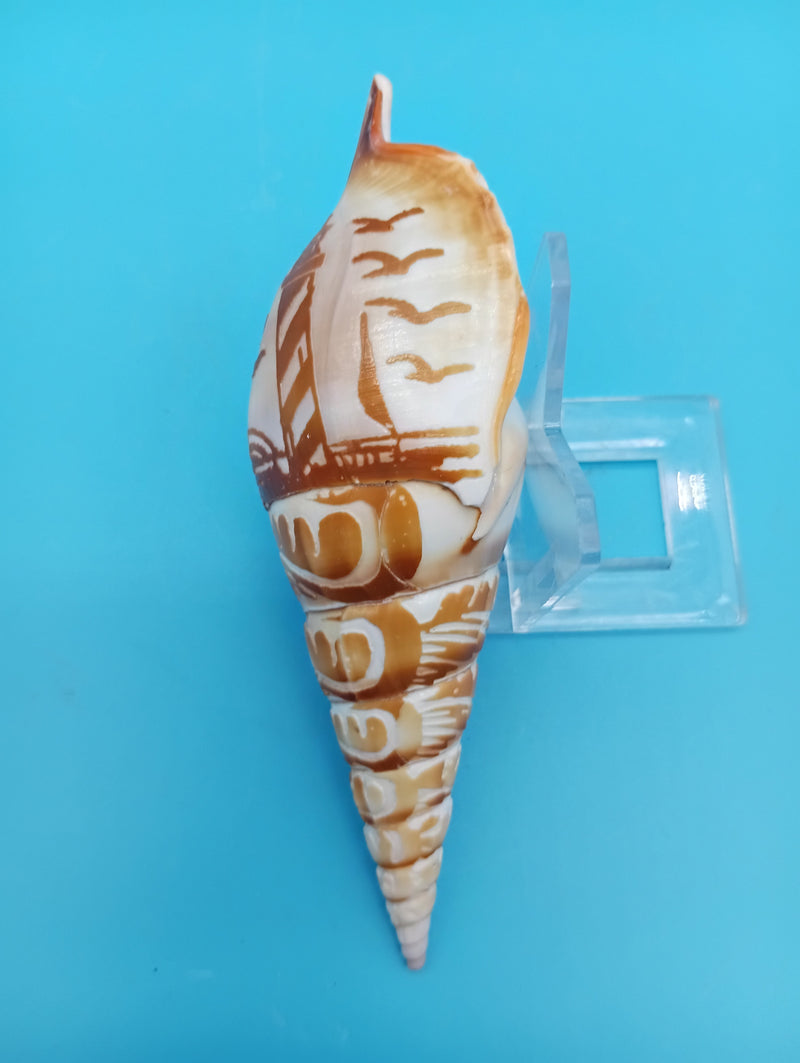 4.8" carved Tibia shell with lighthouse scene and seabirds