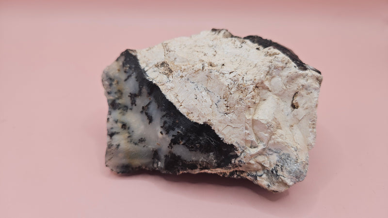 Close-up photo of dendritic opal rough specimen showing black fern-like mineral inclusions in milky-white and gray matrix, 304 grams.