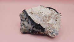 Close-up photo of dendritic opal rough specimen showing black fern-like mineral inclusions in milky-white and gray matrix, 304 grams.