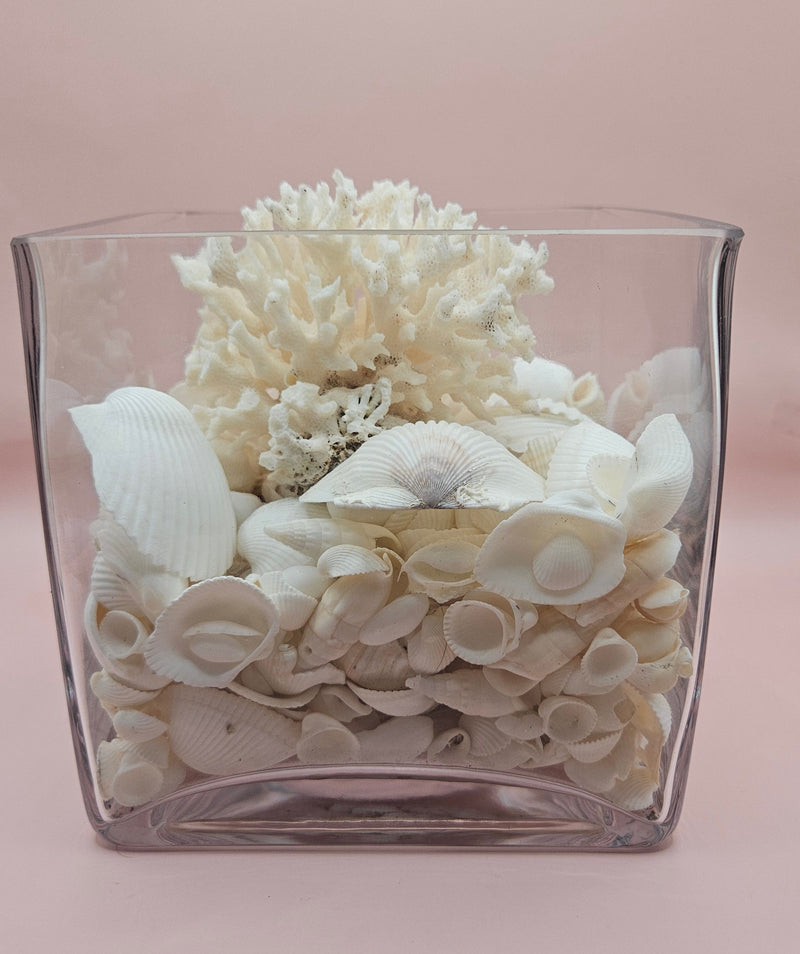 Square glass vase filled with white seashells and topped with natural white coral, coastal decor on soft pink background