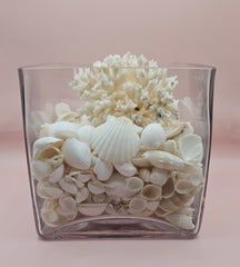 Square glass vase filled with white seashells and topped with natural white coral, coastal decor on soft pink background
