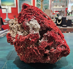 Vintage Red Pipe Coral Cluster with White Branch Coral – 13x11.5x10 Marine Specimen