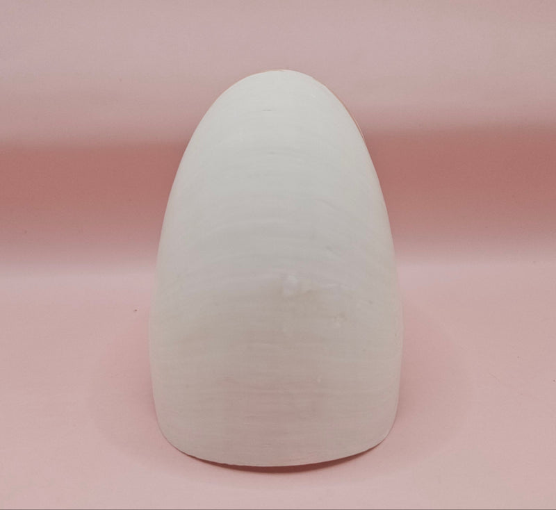 4-inch natural nautilus shell with smooth spiral pattern and creamy pearlescent finish.