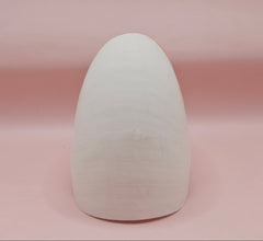 4-inch natural nautilus shell with smooth spiral pattern and creamy pearlescent finish.