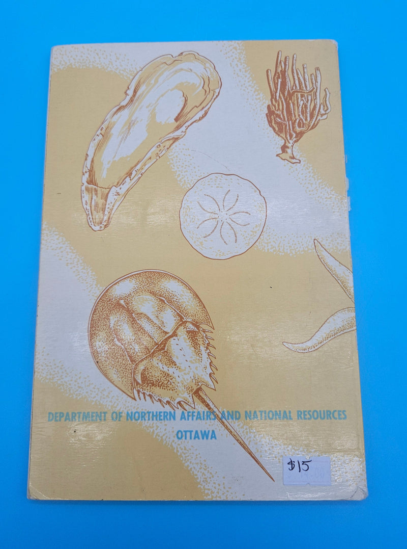 Canadian Atlantic Sea Shells softcover book by E.L. Bousfield, 1960 National Museum of Canada marine shell identification guide.