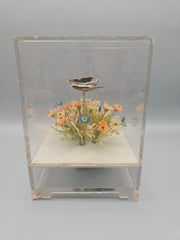 Vintage Acrylic Music Box With Butterflies