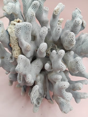 Vintage Blue Ridge Coral with blue-grey texture – 6.7 inch coastal display decor piece