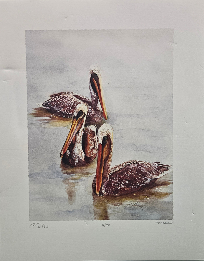 Signed limited edition giclée print “The Locals” by Patsy Teiken. Featuring three brown pelicans in calm water. Print #4/150, 16.5x13, with certificate of authenticity. Ideal for coastal or wildlife-themed decor.