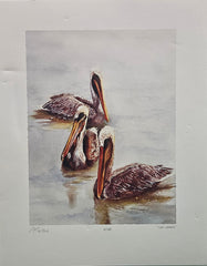 Signed limited edition giclée print “The Locals” by Patsy Teiken. Featuring three brown pelicans in calm water. Print #4/150, 16.5x13, with certificate of authenticity. Ideal for coastal or wildlife-themed decor.
