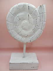 Natural Fossil Ammonite | Coastal Home Decor Fossils