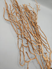 Natural sea fan coral, 14.75 inches  by 7.5 inches , with delicate branching, perfect for coastal or nature-inspired décor