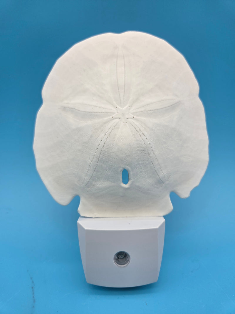 Traditional Sand Dollar LED Shell Night Light