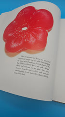 The Ultimate Guide to Sea Glass 2014 hardcover by Mary Beth Beuke, coastal collecting and identification book with colorful blue and green sea glass on wooden dock.
