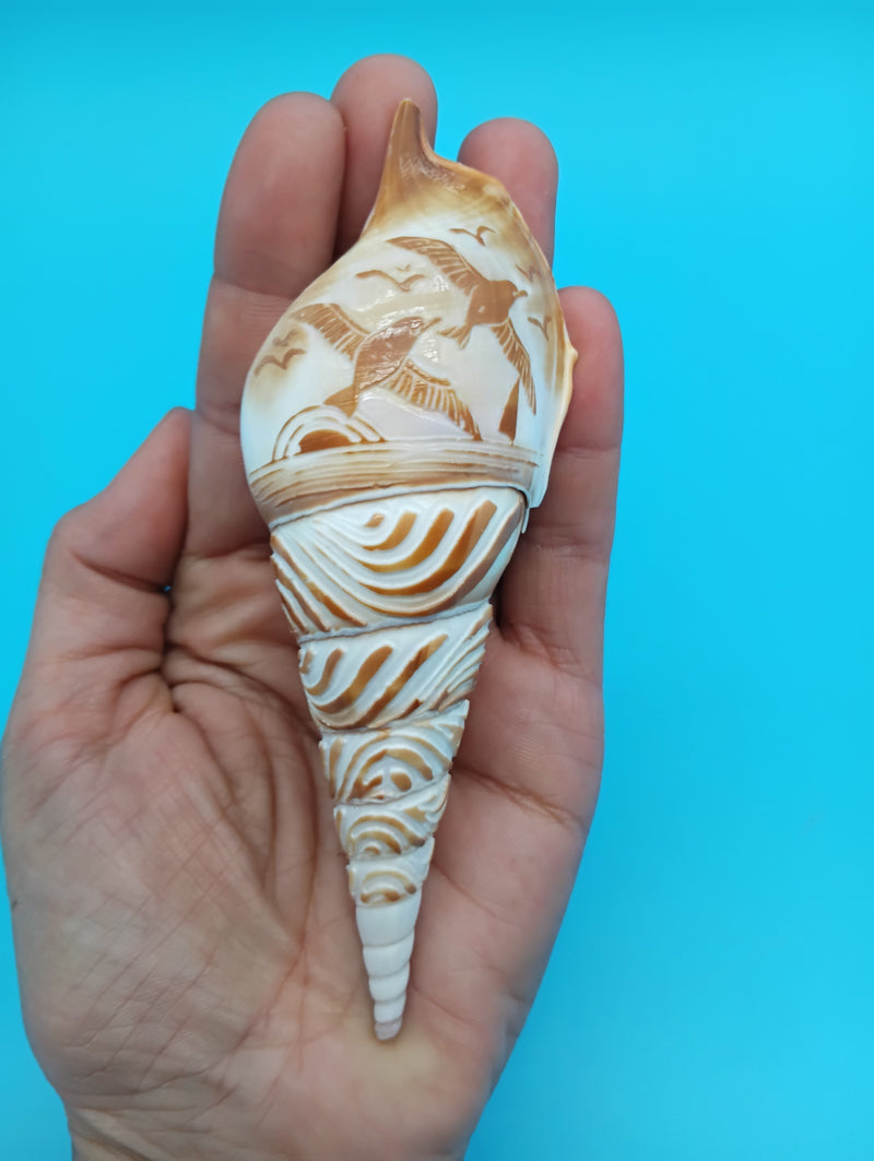 4.7" carved Tibia shell with seagull coastal scene