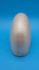 Polished Pearl Nautilus Shell Display – 6.5
