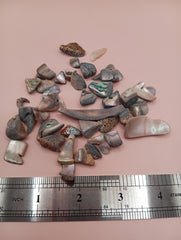 Hand holding polished tumbled abalone shell pieces in assorted shapes and colors