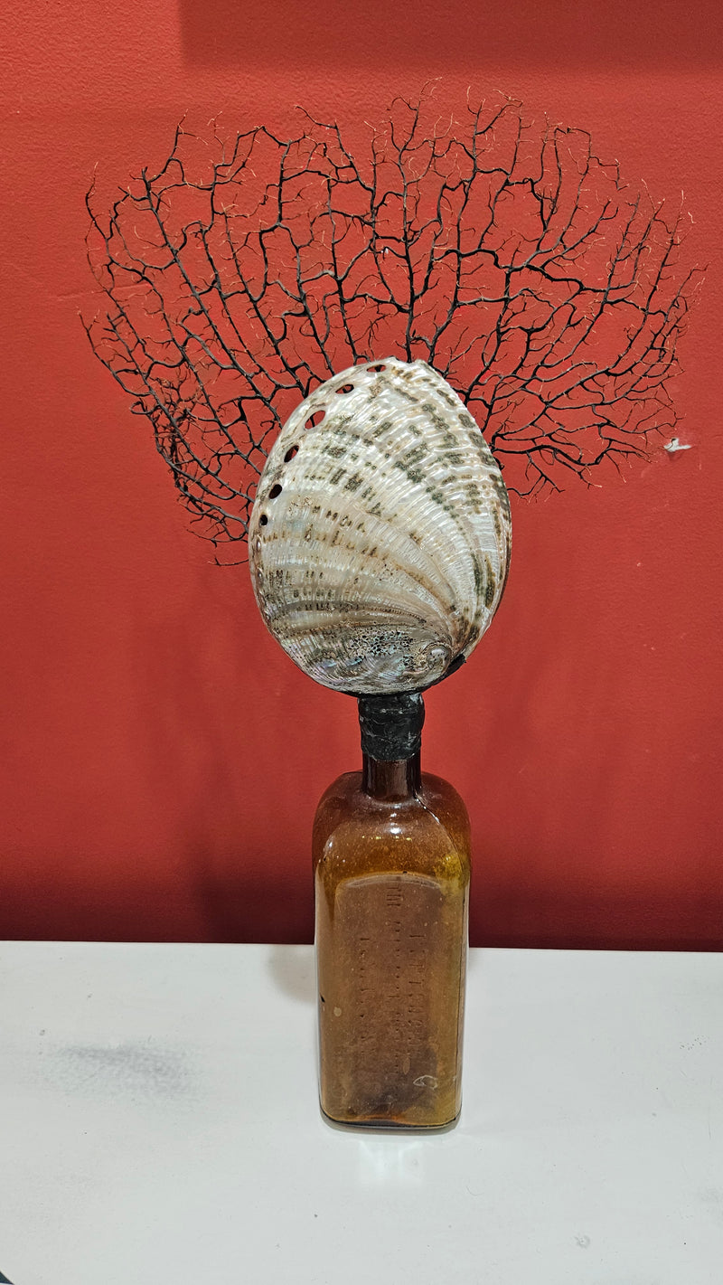 Antique amber Pepto-Mangan bottle with abalone shell and sea fan coral topper
