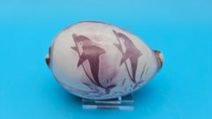Trio of carved cowrie shells with dolphin, seahorse, and shrimp designs on glossy purple-toned surfaces, displayed on clear stands