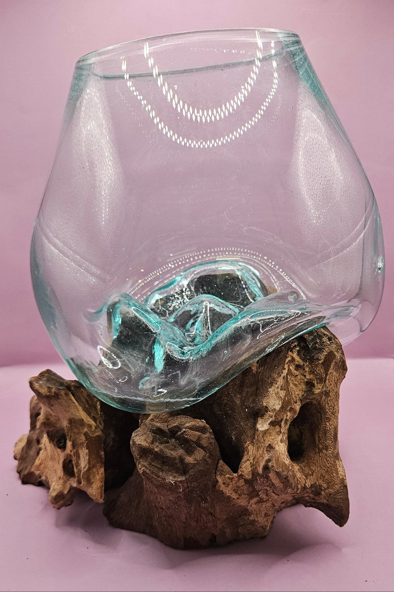 Teak root driftwood and molten glass terrarium – single globe. Handcrafted with molten glass carefully shaped over natural teak root driftwood, creating a one-of-a-kind organic design. Perfect for housing plants, succulents, or decorative displays. Ideal for home or office decor.