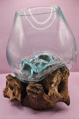 Teak root driftwood and molten glass terrarium – single globe. Handcrafted with molten glass carefully shaped over natural teak root driftwood, creating a one-of-a-kind organic design. Perfect for housing plants, succulents, or decorative displays. Ideal for home or office decor.