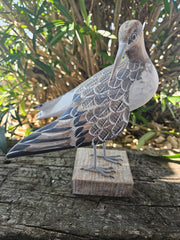 Hand-carved wooden sandpiper preening decor, 10 inches by 7.5 inches, ideal for coastal and nature-themed decor