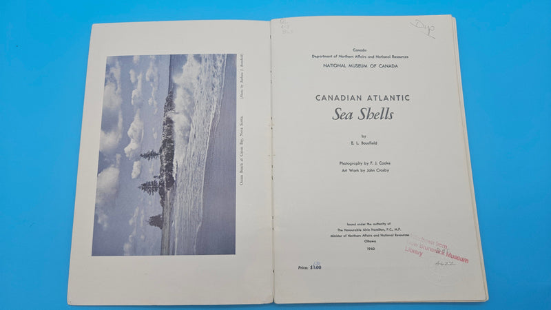 Canadian Atlantic Sea Shells softcover book by E.L. Bousfield, 1960 National Museum of Canada marine shell identification guide.