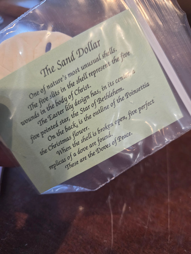 Sand Dollar Legend Gift – Natural Sand Dollar with Christian Symbolism Card