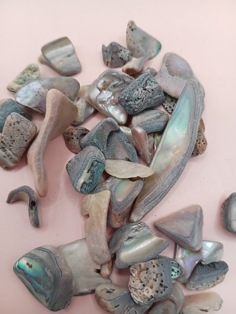 Hand holding polished tumbled abalone shell pieces in assorted shapes and colors