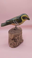 Handmade green songbird figurine with yellow and brown details, perched on a natural wood stump, 5x4 inches.