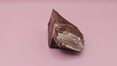Rough Deschutes Jasper specimen with scenic brown and gold banding, 38g collector’s stone from Oregon shown in hand.