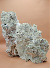 Natural fire coral specimen featuring intricate, textured formations and porous structure. Ideal for saltwater aquariums, reef tank displays, marine-themed home decor, or ocean-inspired crafts. This authentic coral rock adds a unique, organic touch to any setup. Perfect for collectors and aquarium hobbyists seeking natural reef elements. High-resolution image with a warm neutral background highlights the coral’s details and shape.