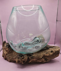 Teak root driftwood and molten glass terrarium – single globe. Handcrafted with molten glass carefully shaped over natural teak root driftwood, creating a one-of-a-kind organic design. Perfect for housing plants, succulents, or decorative displays. Ideal for home or office decor.