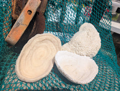 Vintage White Bowl Coral