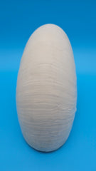 Tiger Nautilus Shell – Striking Natural Ocean Decor (8