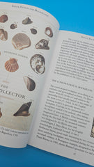 Out of My Shell softcover book by S. Peter Dance, 2005 edition with shell-collecting stories and marine life insights.