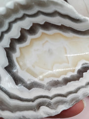 Polished natural onyx shell bowls with layered cream, gray, and brown tones