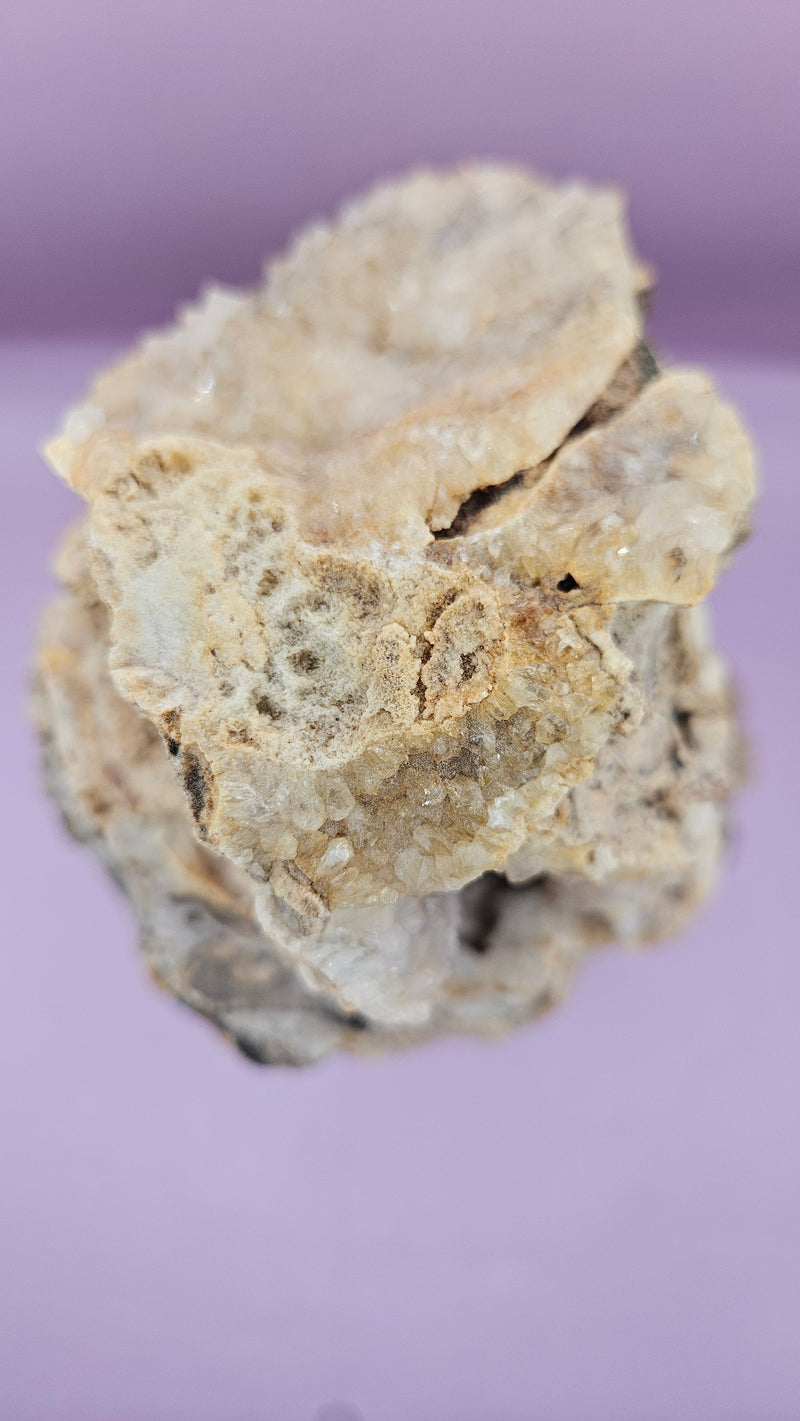 Teak mounted quartz geode with shimmering crystals on a polished wood base, 12x6.25 inches, perfect for home decor