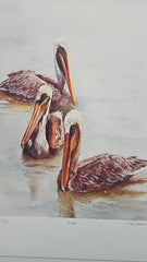 Signed limited edition giclée print “The Locals” by Patsy Teiken. Featuring three brown pelicans in calm water. Print #4/150, 16.5x13, with certificate of authenticity. Ideal for coastal or wildlife-themed decor.
