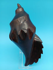 Hand-carved ironwood conch shell coastal decor 6.5 inches