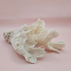 Vintage white coral with leafy ruffled appearance and ribbed texture, 7.5 inches tall