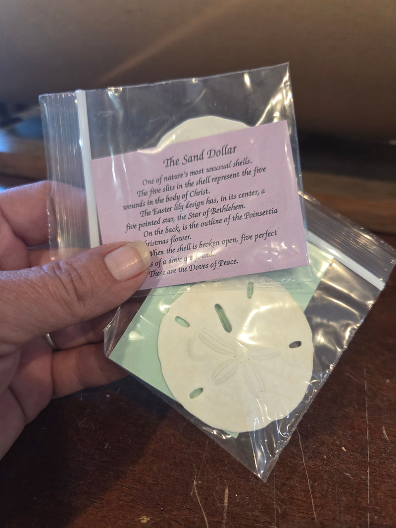 Sand Dollar Legend Gift – Natural Sand Dollar with Christian Symbolism Card