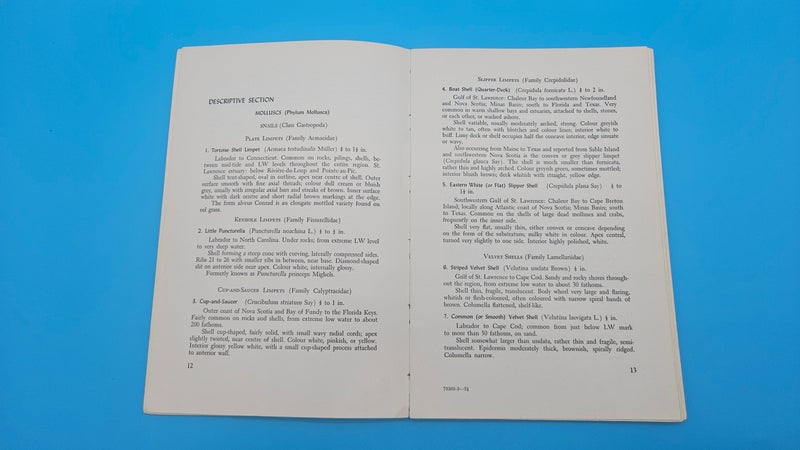 Canadian Atlantic Sea Shells softcover book by E.L. Bousfield, 1960 National Museum of Canada marine shell identification guide.