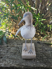 Hand-carved wooden sandpiper preening decor, 10 inches by 7.5 inches, ideal for coastal and nature-themed decor