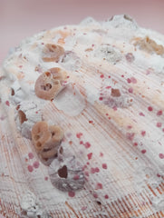 Natural Orange Lion's Paw Seashell Pair – 5.1