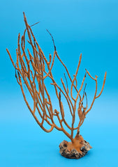 Vintage Gulf of Mexico sea whip coral specimen in natural orange, 9 inches tall with branching structure