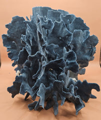 Natural Blue Ridge Coral specimen with rich blue coloration and vertical ridge-like structures, ideal for marine décor, coastal interiors, or aquarium-themed styling